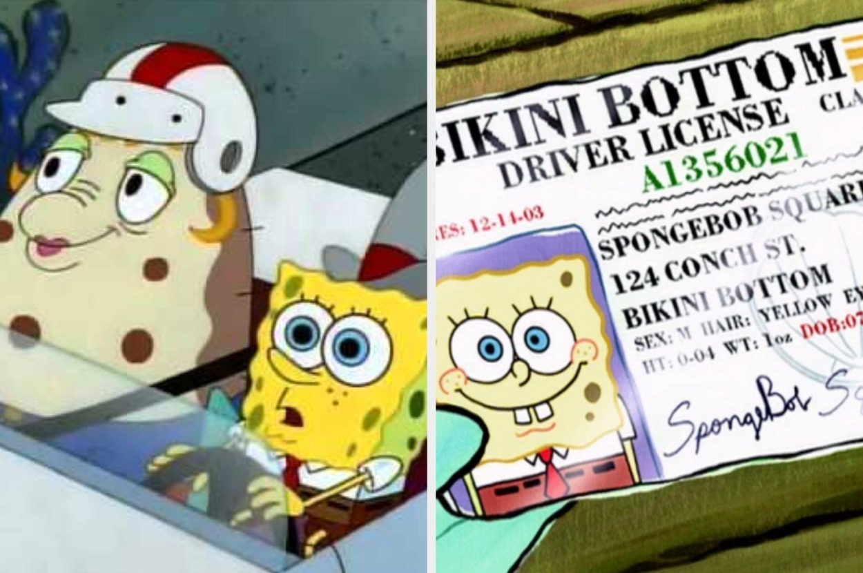drivers license spongebob
