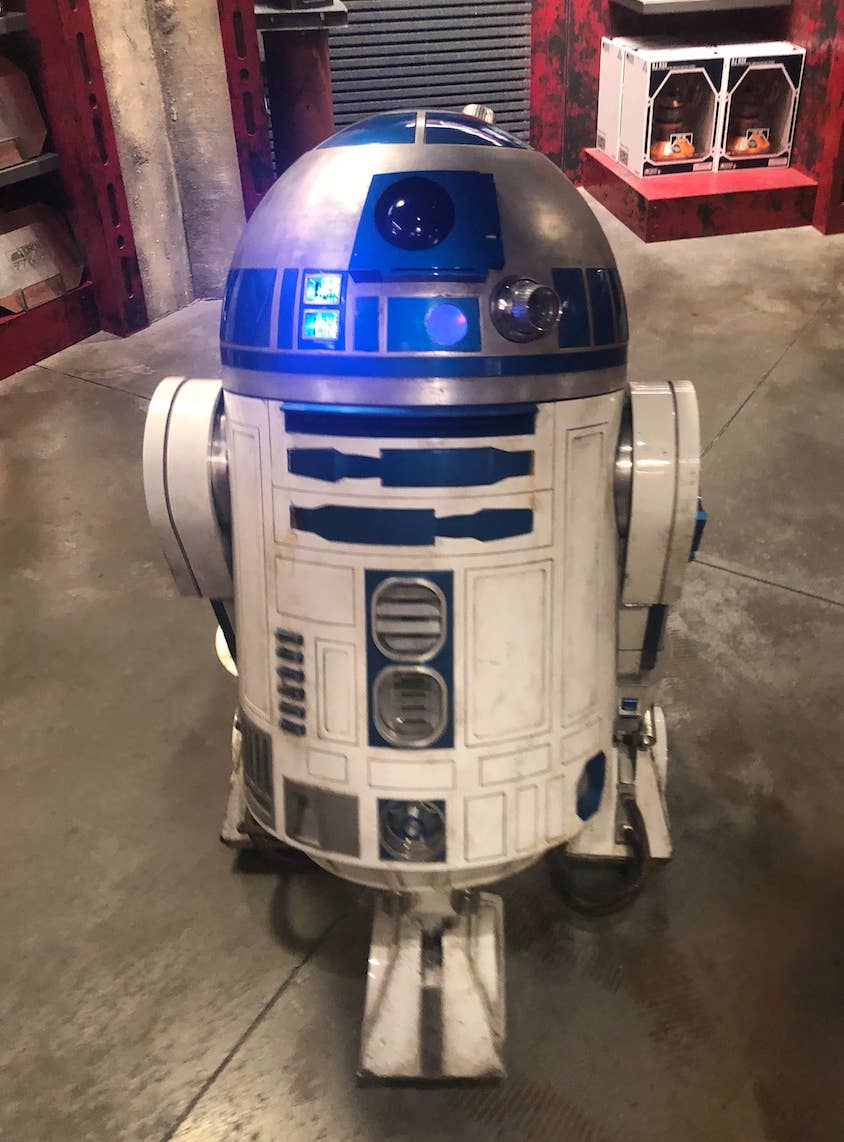 本家ディズニーランドの スターウォーズ新エリア を紹介します