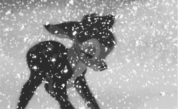 対訳付き ディズニーファンなら絶対信じたくはない12の真実