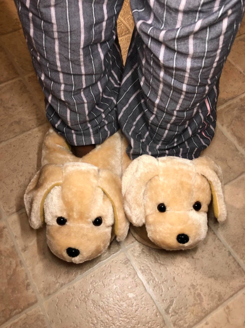 golden retriever slippers