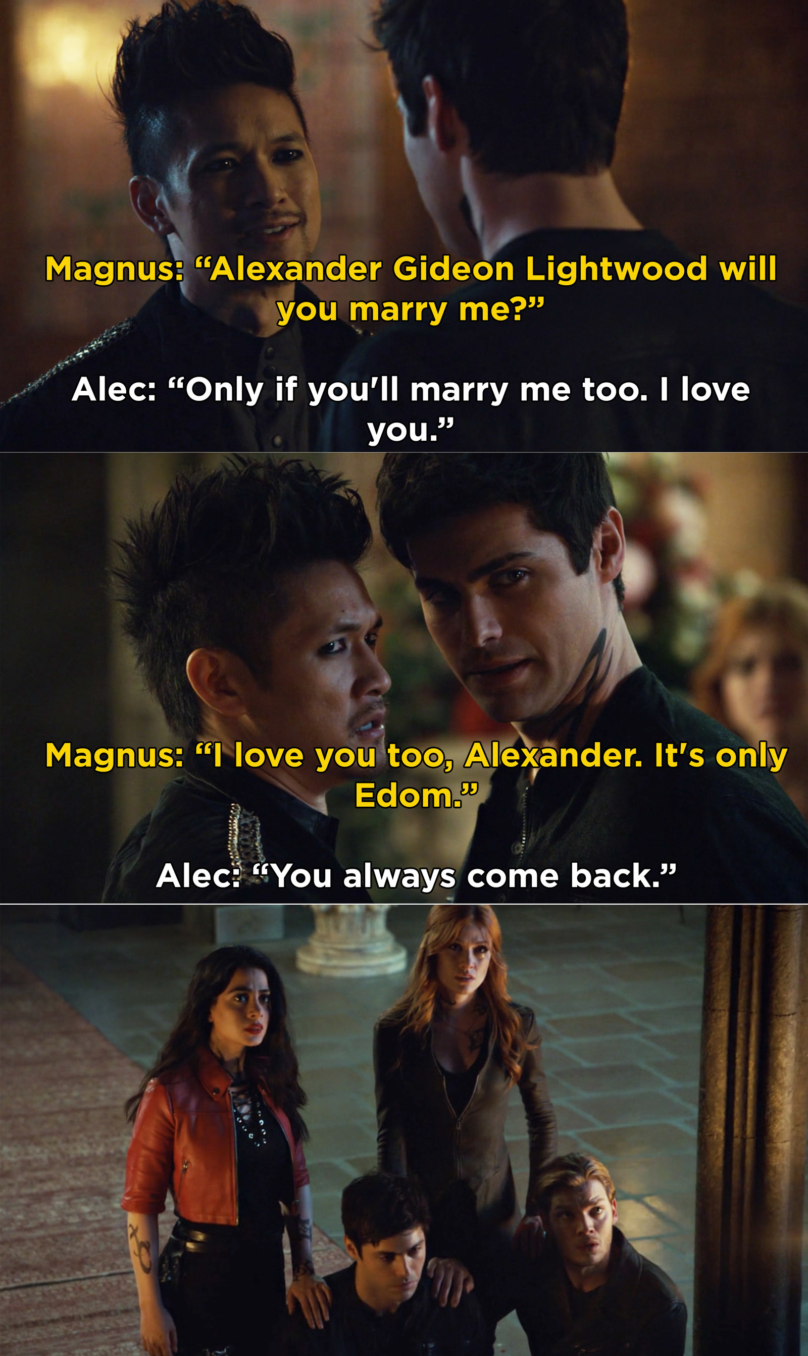 the mortal instruments city of bones alec and magnus