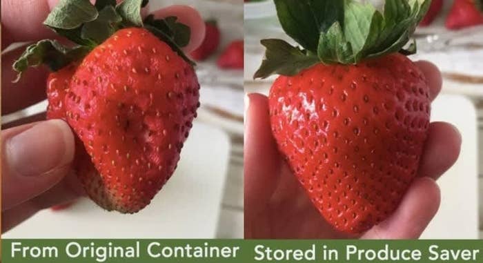 On the left, a before photo of BuzzFeed Editor Natalie Brown holding a mushy strawberry stored in a regular container, and on the right, Natalie Brown holding a fresh strawberry stored in the produce-saving container
