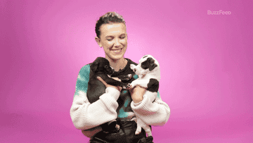Millie Bobby Brown Plays With Puppies While Answering Fan Questions