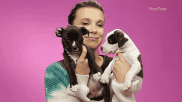 Millie Bobby Brown Plays With Puppies While Answering Fan Questions