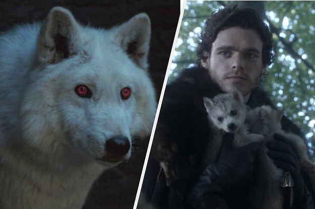Answer 9 Questions And We'll Give You A "Game Of Thrones" Direwolf