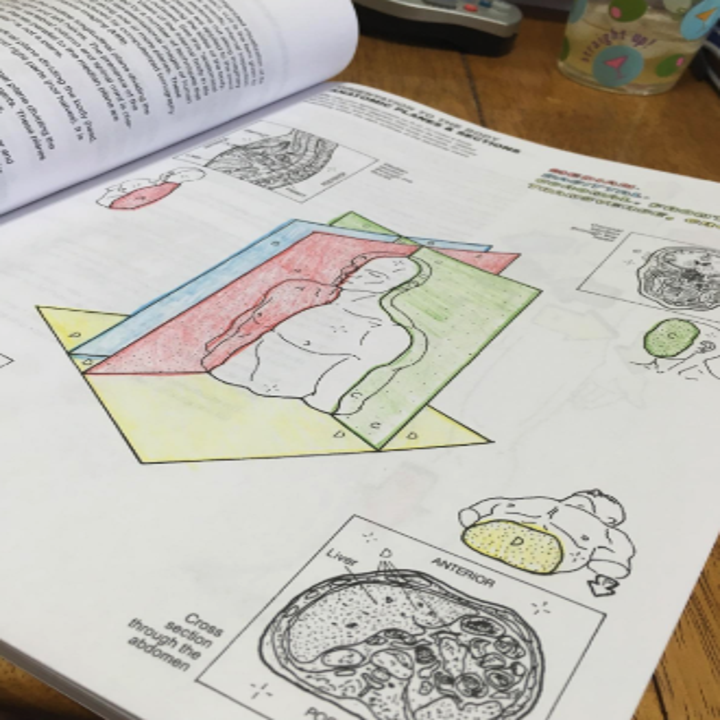 The Best Coloring Books You Can Get On Amazon