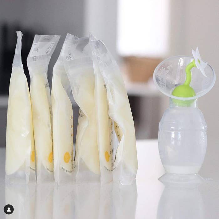 Promising review: "The Haaka is what I used the most after my son was born. I started with one and bought two more so I always have a clean one on hand. My supply dropped when I went back to work, so I am grateful I used the pump to build up a freezer full of milk. The ones that have the suction on the bottom and the flower stopper are the best at preventing any spilled milk!" - Sarah R.Get it from Amazon for $28.