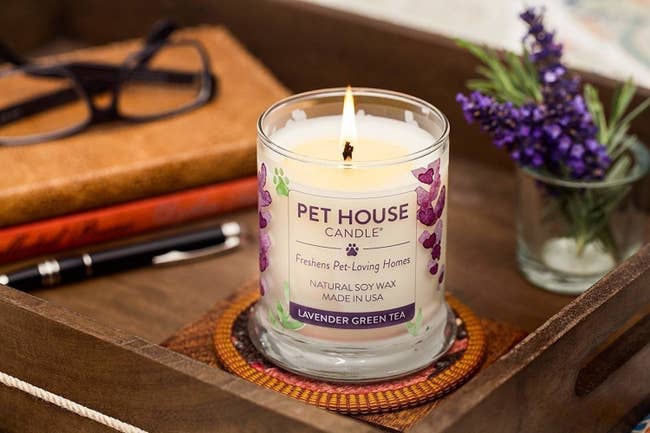 pet house candle on display with flaming wick