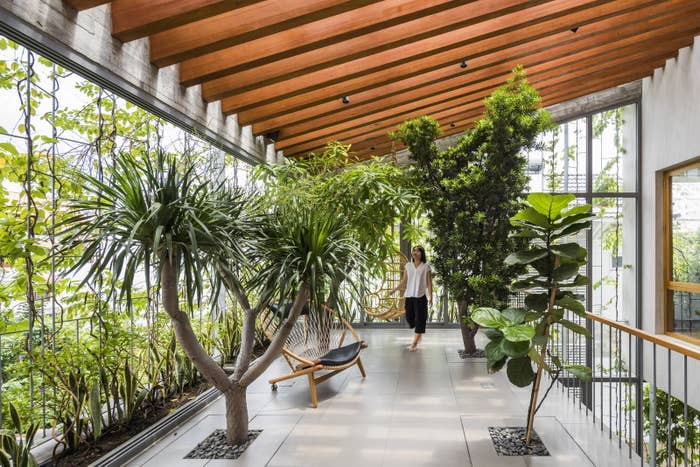 8 Lush Homes To Inspire Your Own Indoor Plant Party