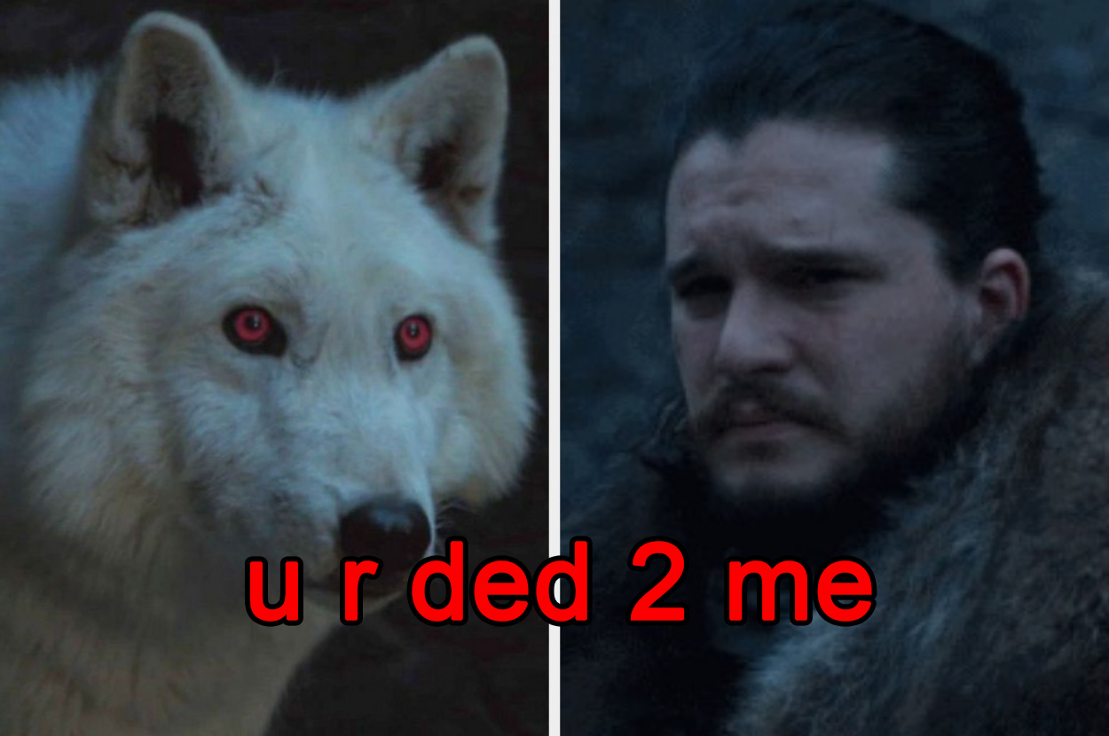 what happened to jon snows dog ghost