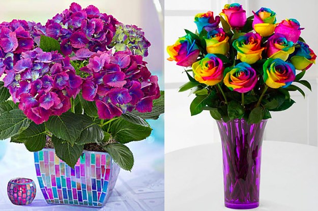 15 Of The Best Places To Order Flowers Online