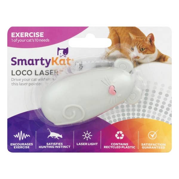26 Surprisingly Inexpensive Pet Supplies From Walmart