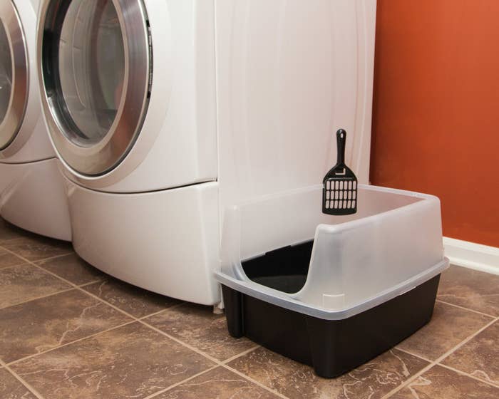 26 Surprisingly Inexpensive Pet Supplies From Walmart