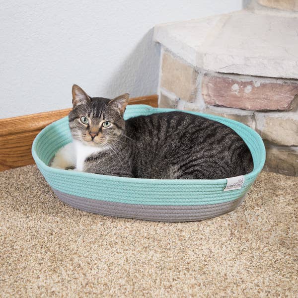 26 Surprisingly Inexpensive Pet Supplies From Walmart