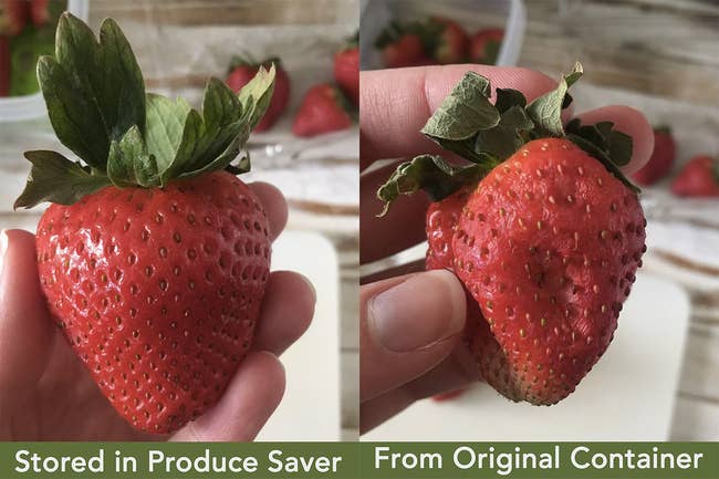 left: big fresh strawberry that says 