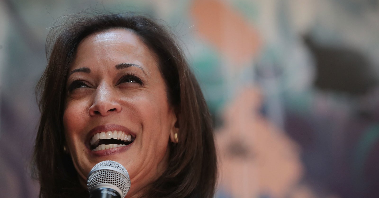 Kamala Harris Has A Network Of Black Sorority Sisters Mobilizing For Her In The South