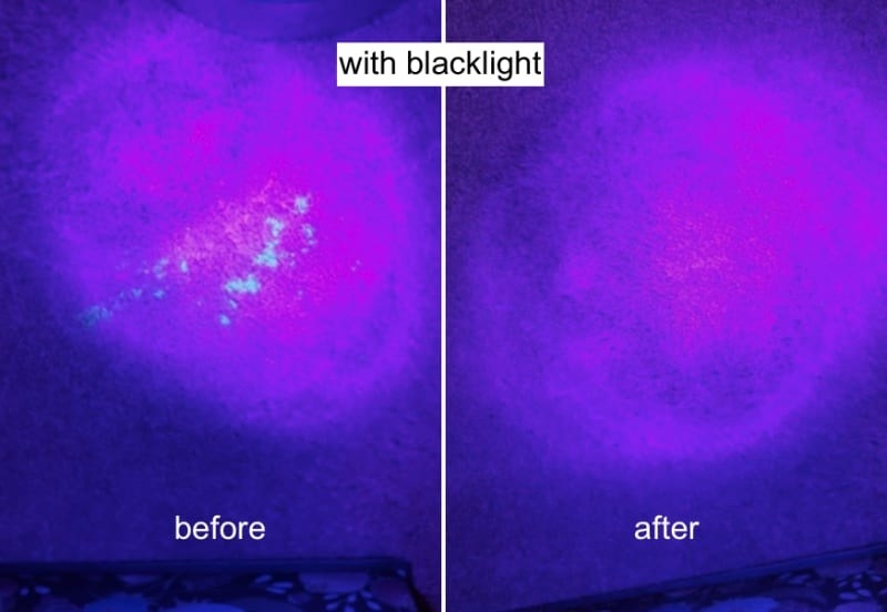 Reviewer&#x27;s before-and-after image where they use a blacklight to show how the cleaner worked so well, it removed the pee stain from the carpet 