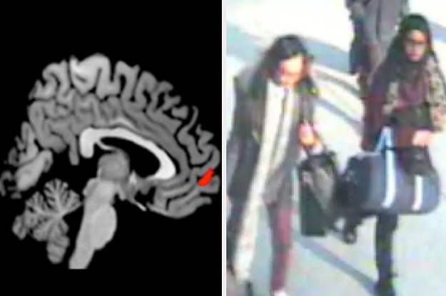 The First Ever Brain Scans Of Jihadists Show How Radicalisation Alters The Mind The First Ever Brain Scans Of Jihadists Show How Radicalisation Alters The Mind