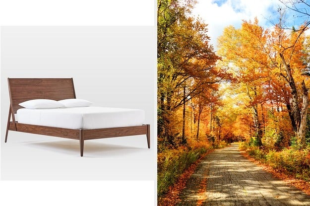 Everyone Is A Summer, Winter, Spring, Or Fall — Which One Are You?