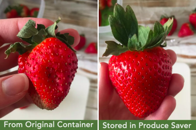 Review photo taken by BuzzFeed editor Natalie Brown showing side by side two strawberries stored in the original container and the produce-saving storage container. One is dried while the other looks fresh