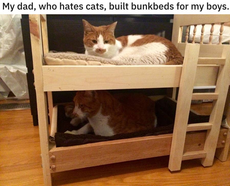 D3qnvuta9ybowm