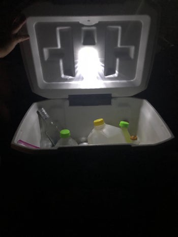 reviewer photo of light attached to open cooler lid