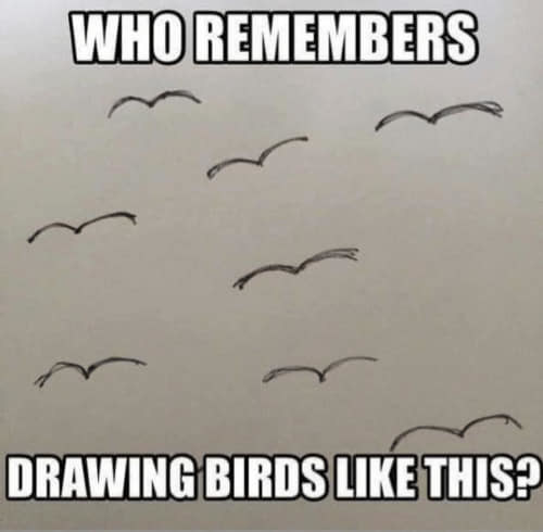 Text reads: &quot;WHO REMEMBERS DRAWING BIRDS LIKE THIS?&quot; with simple V-shaped drawings of birds in between the text