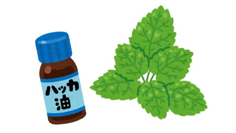 チョコミン党必見 コンビニやスタバの絶品チョコミント商品まとめ ペパーミントの日