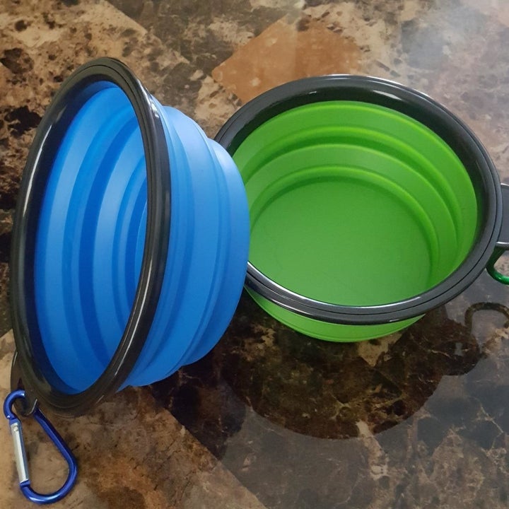 blue and green collapsible dog bowl with carabiners