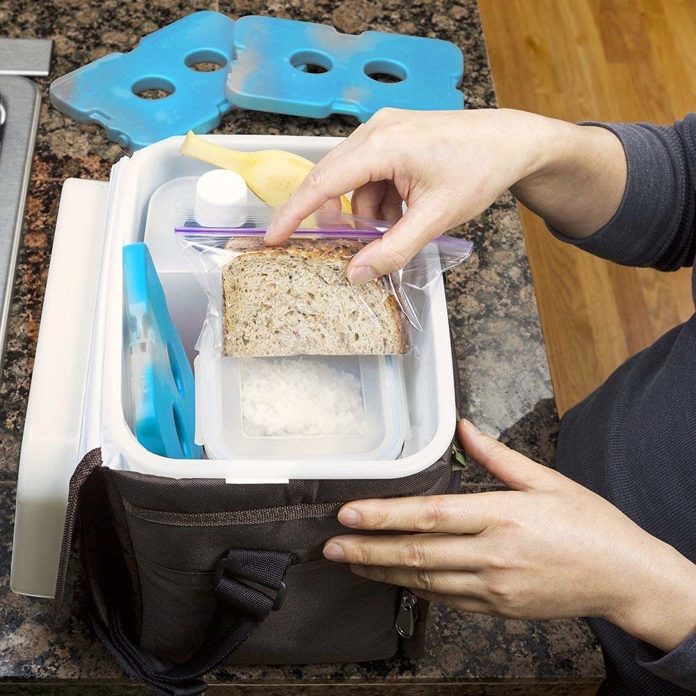 Person is putting a sandwich in a cooler with ice packs on the edge