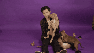 Chris Pratt And Chris Hemsworth Wishing Tom Holland A Happy Birthday Is The Energy I Need 24 7 Talking tom cat sings happy birthday to chris. chris hemsworth wishing tom holland