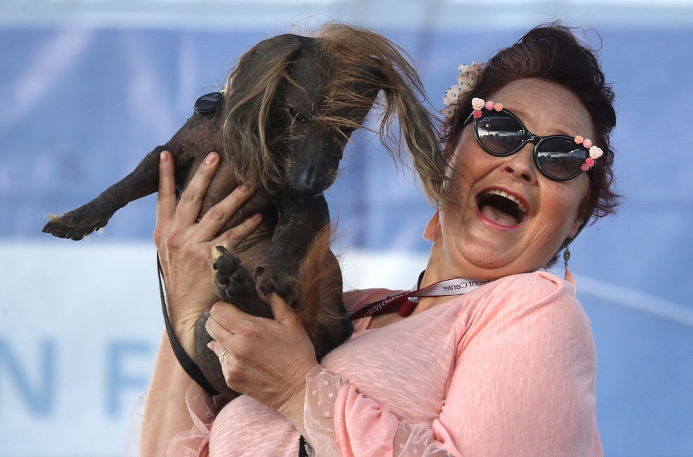 世界で最も醜い犬コンテスト 今年の優勝犬はスキャンプ ザ トランプくん