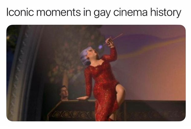 gay memes photos