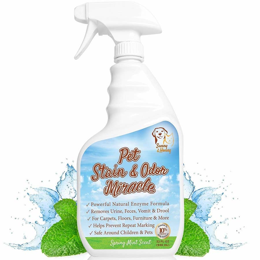 16 Best Cleaning Products Every Home Needs 