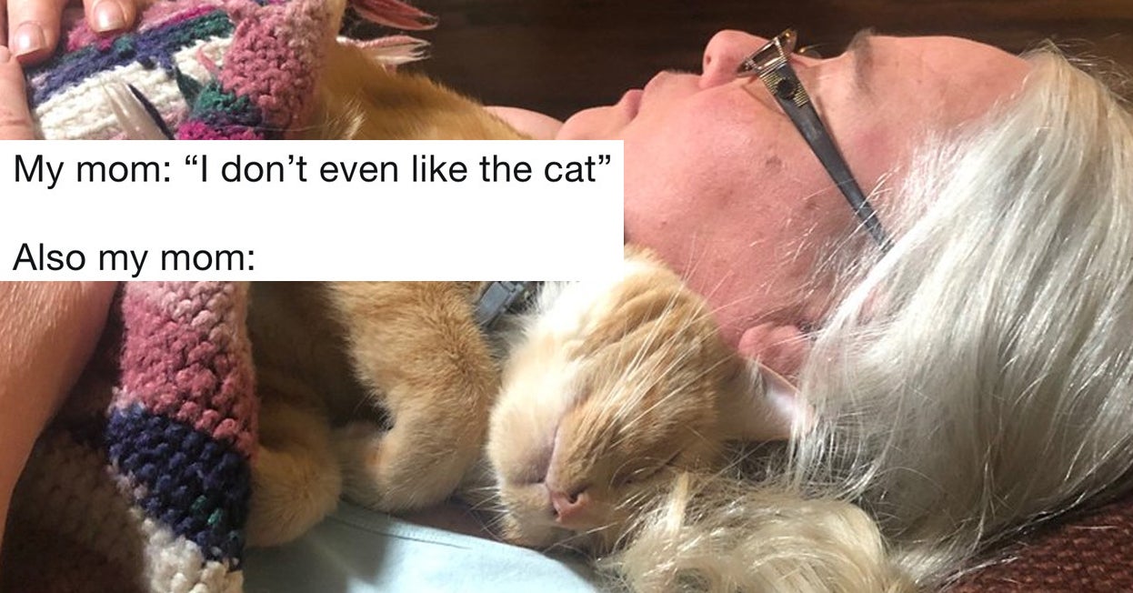19 Reluctant Cat Moms Who Came Around Real Fast