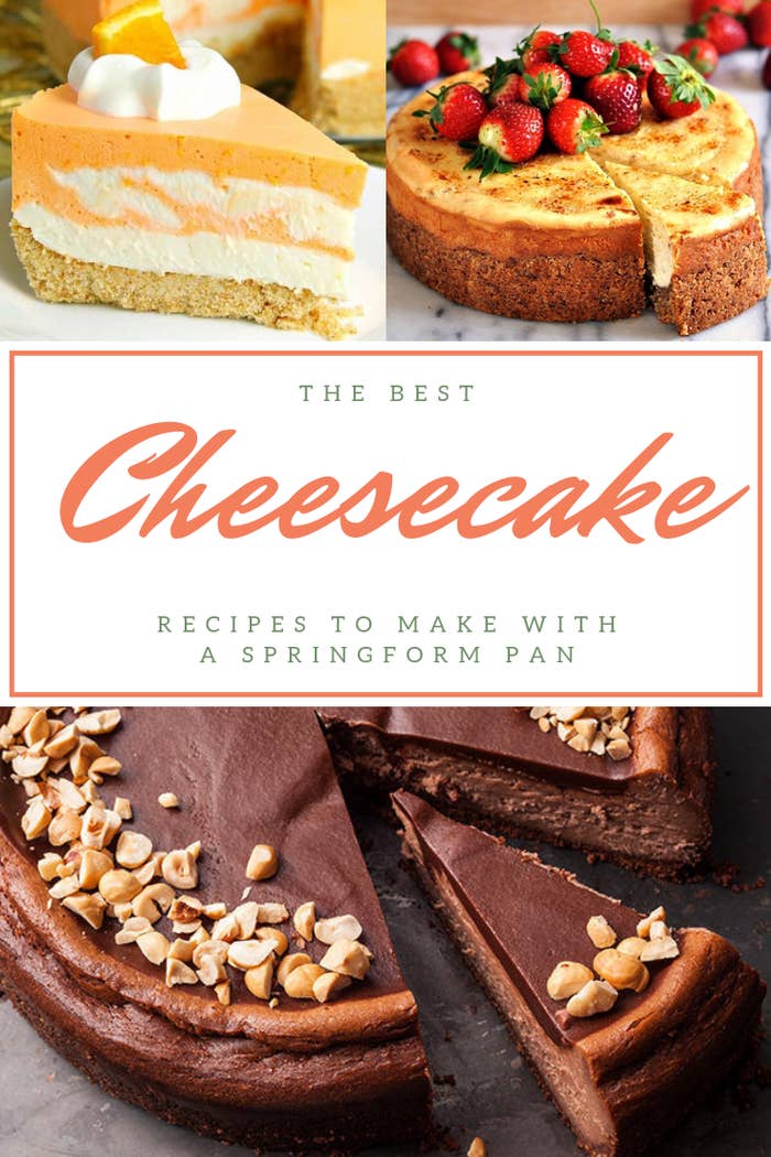 Springform Pan Cheesecake Recipes 
