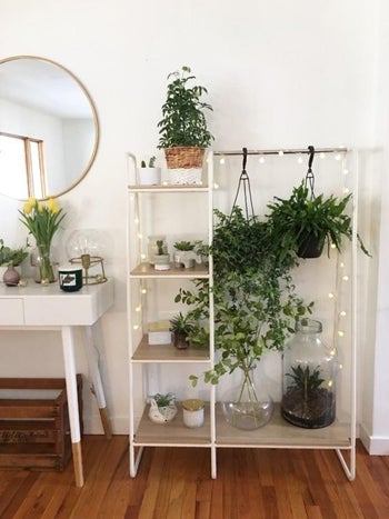 the same rack with plants hanging from the bars and sitting on the shelves plus a decorative string of lights