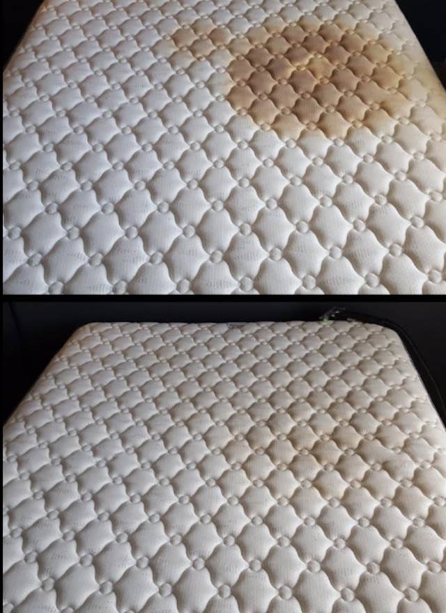 This Carpet Cleaner S Before And After Photos Speak For Themselves