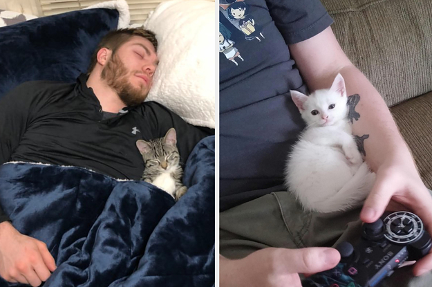 15 Boyfriends Who Really Didn't Want A Cat And Caved Real Fast