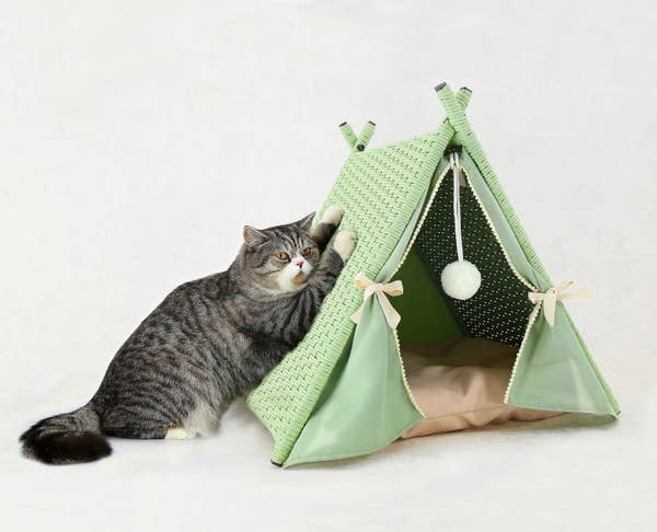 25 Products From Walmart That Ll Make Your Pet The Coolest In The