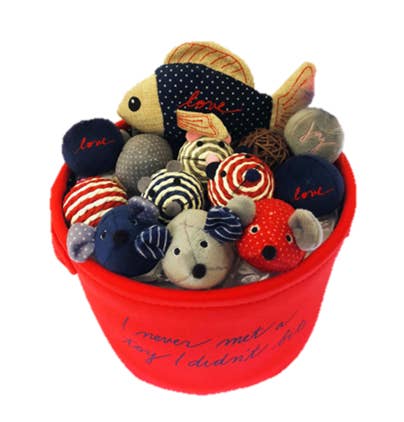 Ellen sales cat toys