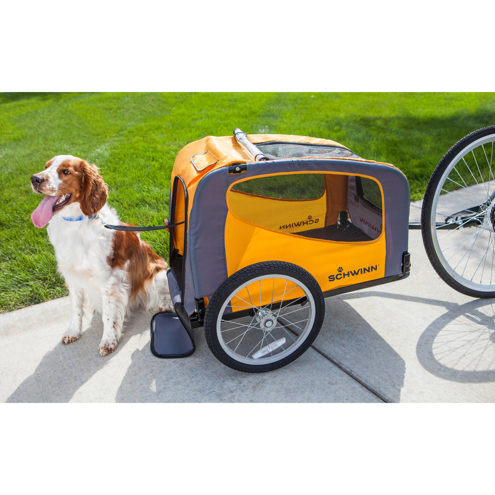 walmart dog bike trailer