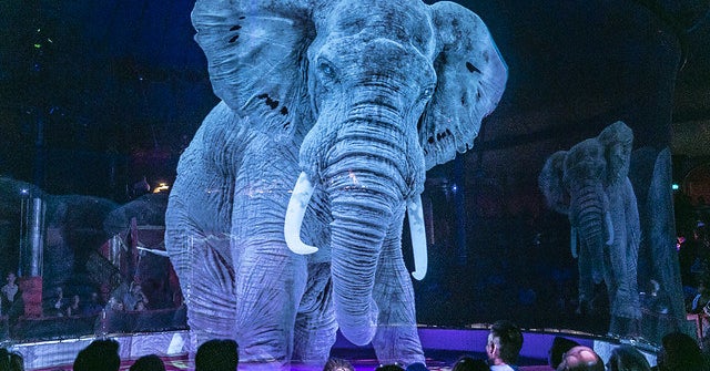 Circus Roncalli In Germany Swapped Animals For Holograms And It's ...