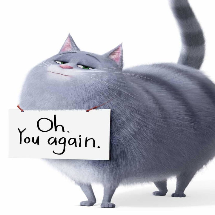 &ldquo;Secret Life Of Pets 2&rdquo;: Here&rsquo;s What The Voice Actors Look Like IRL