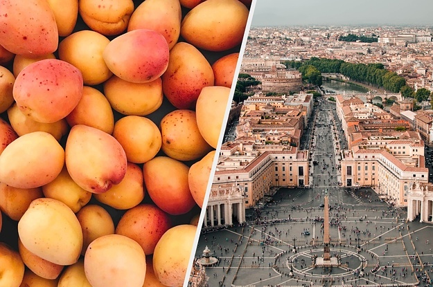 We Know What Kind Of Fruit You Are Based On The Vacation You Plan