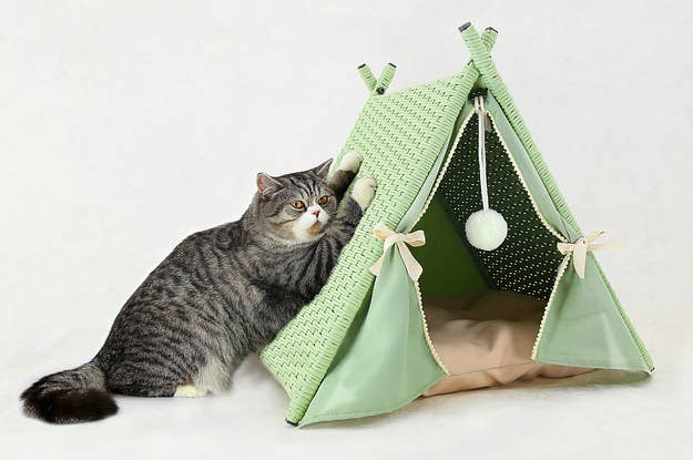 We Tried Subscription Boxes For Cats And They Were Super Freaking