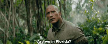 Https Encrypted Tbn0 Gstatic Com Images Q Tbn 3aand9gcs3iz Xryro66djr4cwe7pkakm1nbbs5pyrtw Usqp Cau