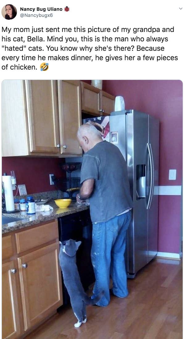 15 Grandparents Who Clearly Lied About Not Wanting Pets