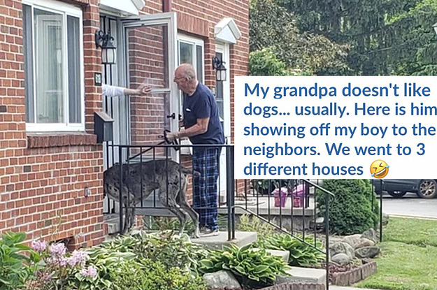 15 Grandparents Who Clearly Lied About Not Wanting Pets