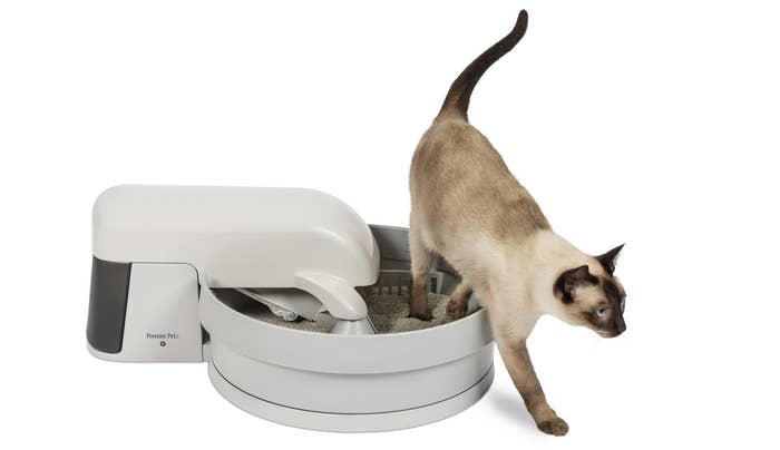 21 Amazing Cat Essentials That You Can Get At Walmart